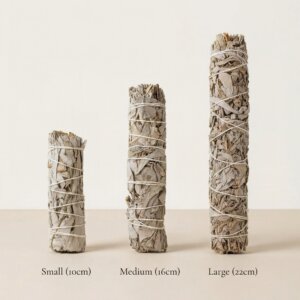 Sauge blanche sauvage du Mexique - 3 tailles de bâtons