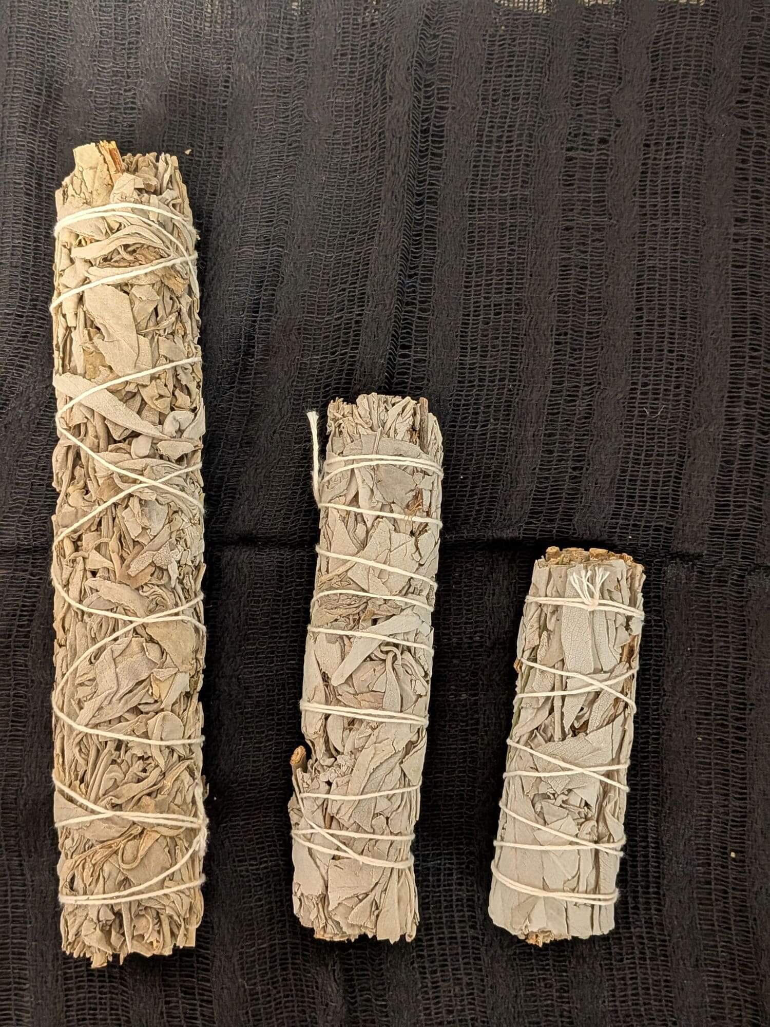 Sauge blanche sauvage du Mexique - 3 tailles de bâtons