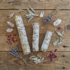 Sauge blanche sauvage du Mexique - 3 tailles de bâtons